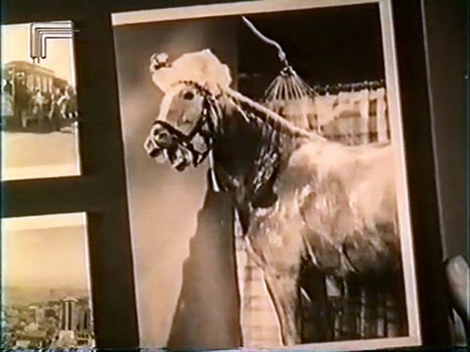 Mr. Ed Staffel 3 Folge 1 HD Deutsch