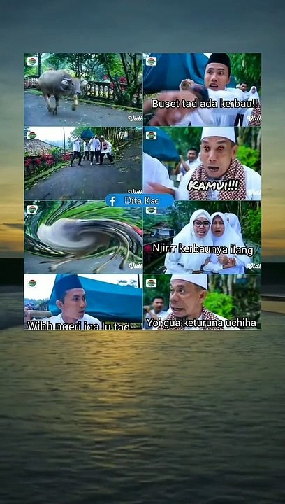 21c5ba877d63a33ab1cbd5cea7bdcc20
