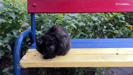 Ирпень и Буча возвращаются к жизни и готовятся к зиме