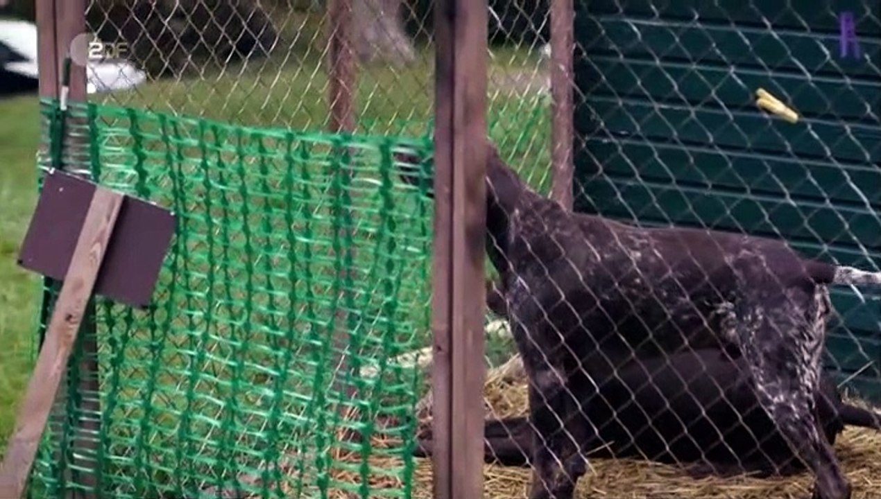 Unter anderen Umständen Staffel 1 Folge 17 - Part 02 HD Deutsch