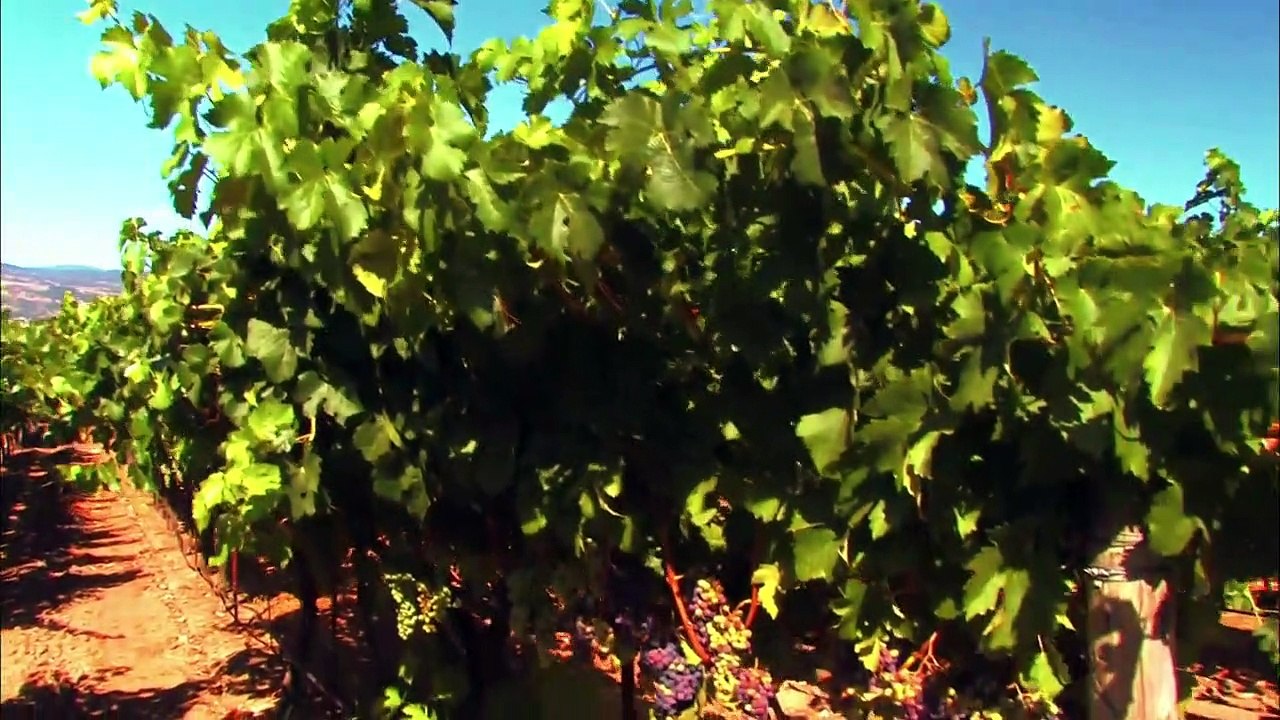 Tödliche Freundschaft Staffel 3 Folge 8 HD Deutsch