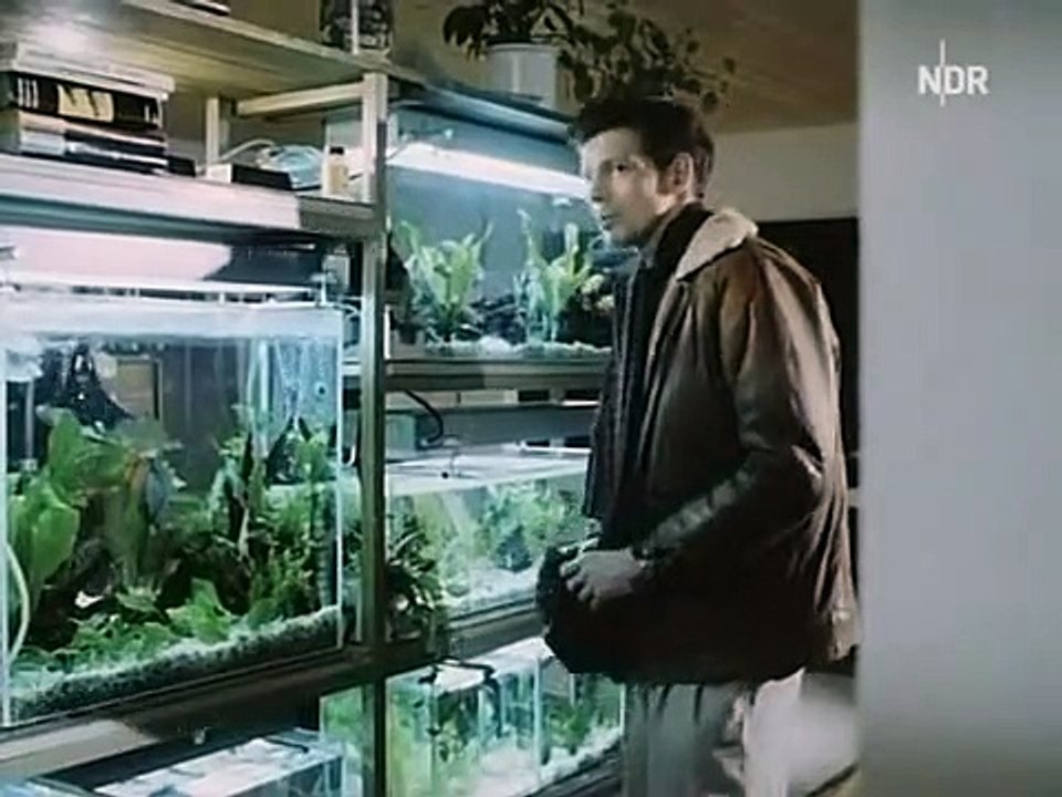 Polizeiruf 110 Staffel 19 Folge 8 - Part 01 HD Deutsch