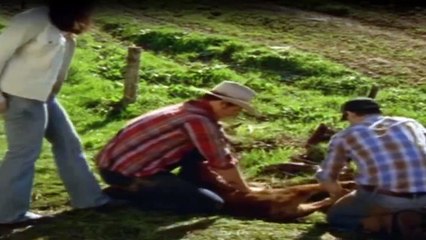 McLeods Töchter Staffel 6 Folge 2 HD Deutsch