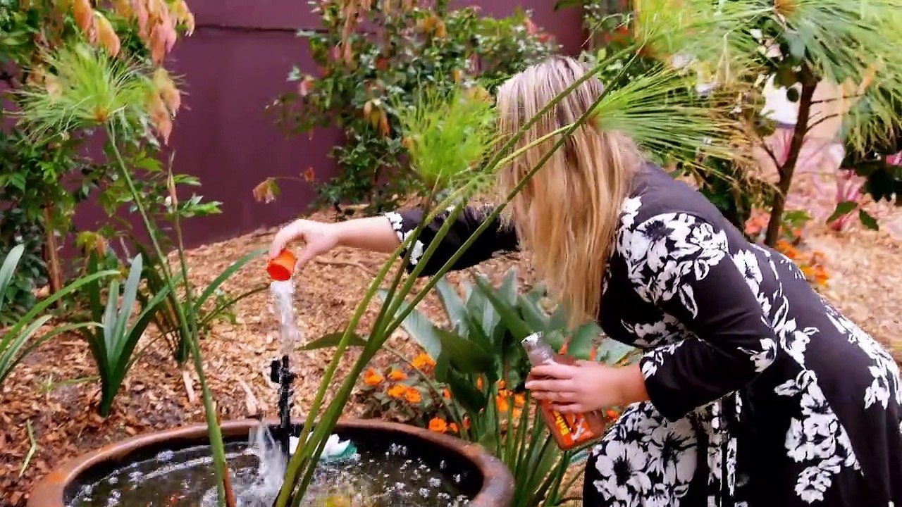 Instant Hotel Staffel 1 Folge 11 HD Deutsch