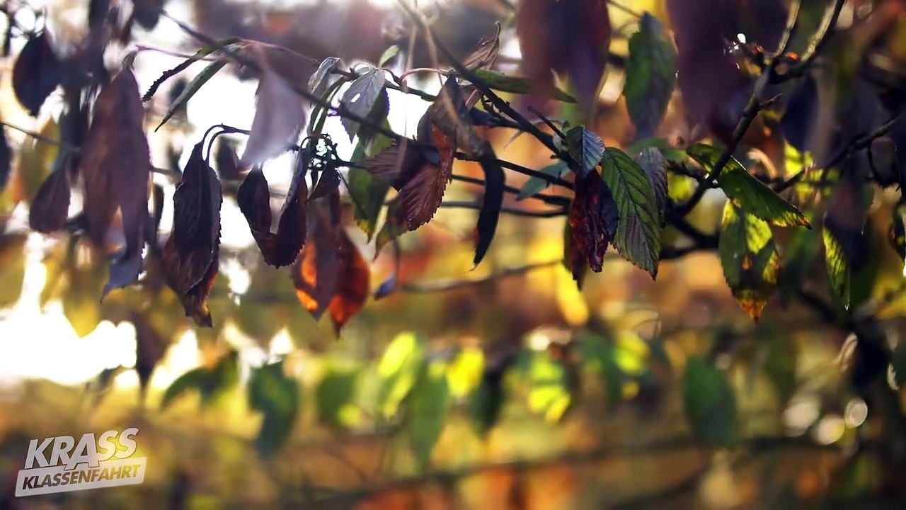 Krass Klassenfahrt Staffel 5 Folge 6 HD Deutsch