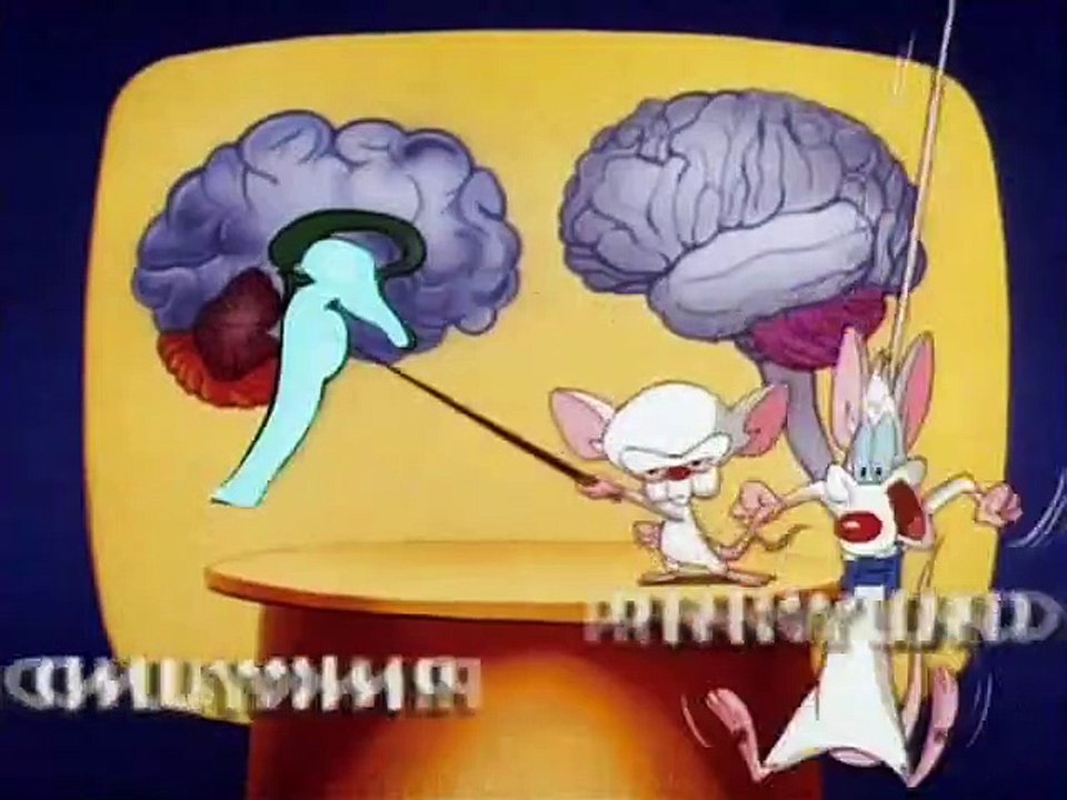 Pinky & der Brain Staffel 2 Folge 7 HD Deutsch