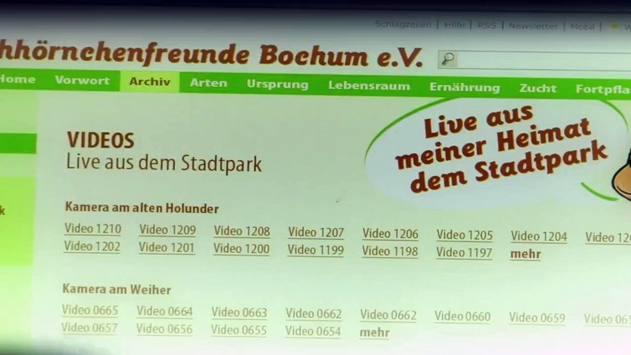 Heldt Staffel 4 Folge 18 HD Deutsch