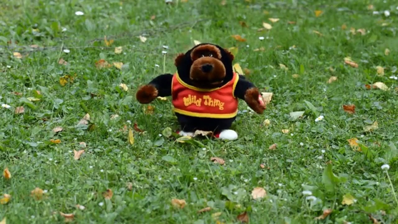 Lessen on pills wash hands and laugh, A comedy video to reduce pressure, Relax chill enjoy laugh