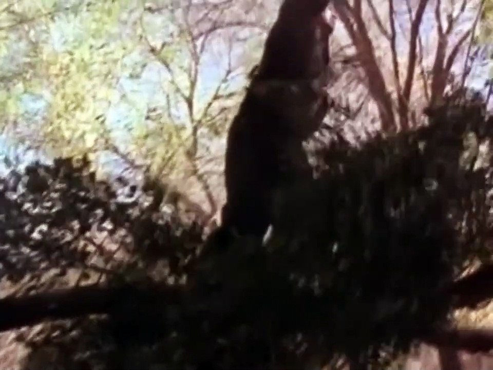 NAM - Dienst in Vietnam Staffel 2 Folge 5 HD Deutsch