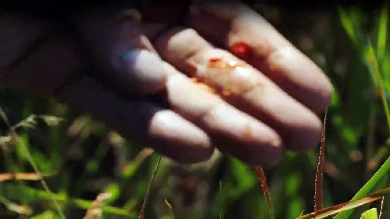 Van Helsing Staffel 4 Folge 13 HD Deutsch