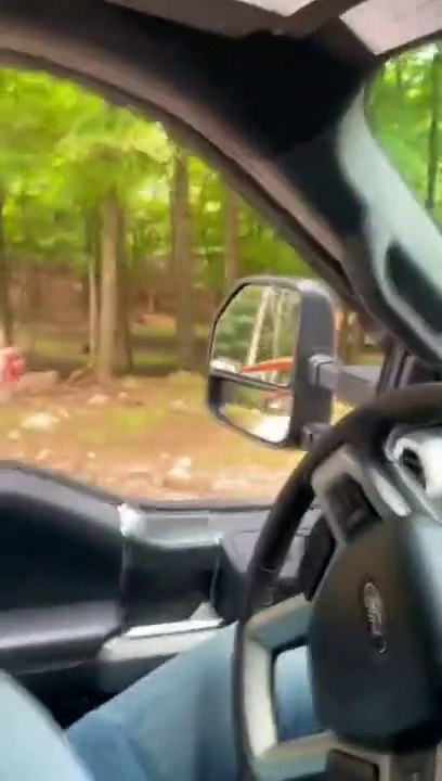 animal_funny_video_!!_#short