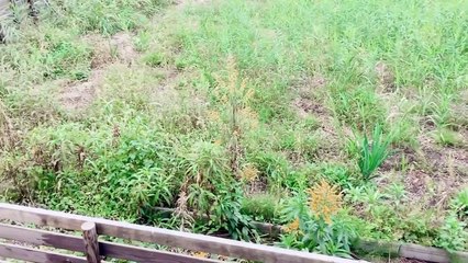 【一人暮らしアラサー独身女】13