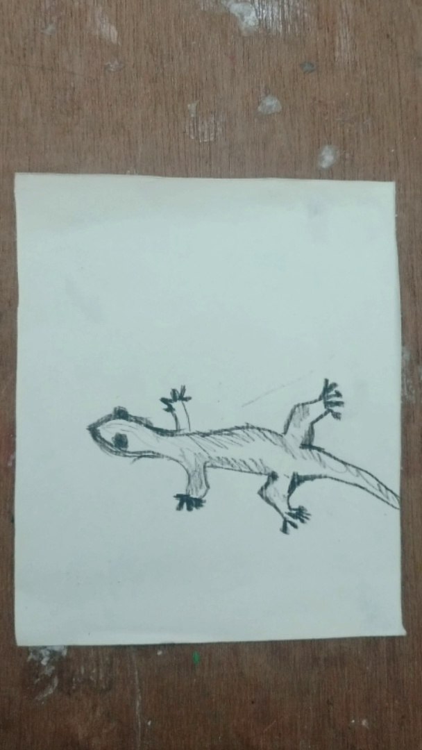 ⁣How to draw Lizard