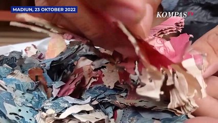 Terjadi Lagi! Uang Puluhan Juta Ludes Dimakan Rayap Setelah Disimpan Sebulan di Lemari