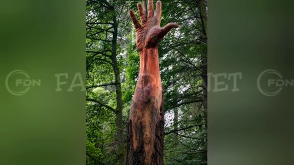 Did You Know? The Giant Hand || FACTS || TRIVIA