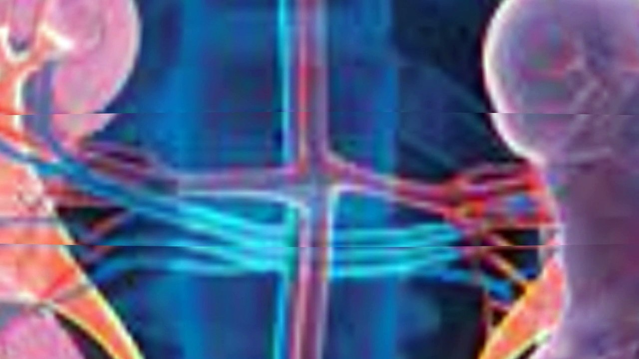 KIDNEY