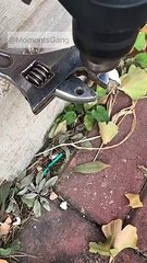 MOST VIRAL VIDEOS ON TIKTOK COMPILATION.