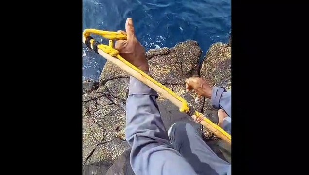 Cara Memancing Ikan Tuna