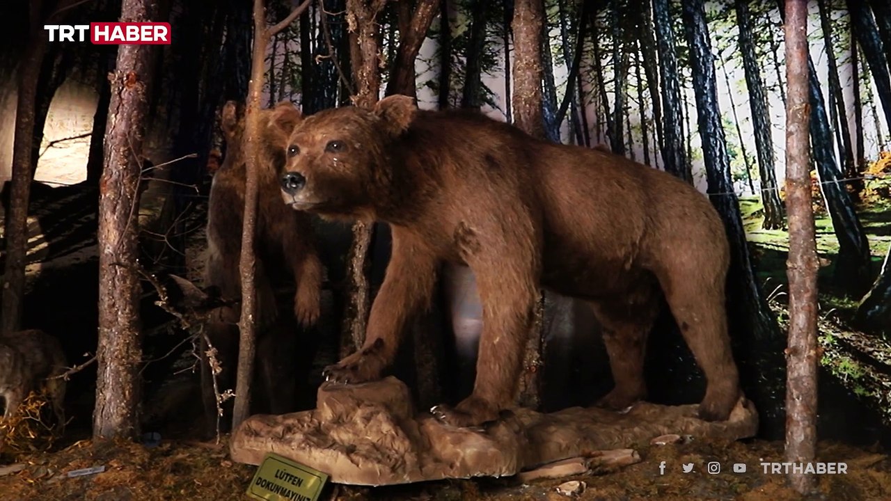 Gezi Rotası: Anadolu'nun göz bebeği Kızılcahamam