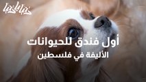 أول فندق للحيوانات الأليفة يرى النور في فلسطين