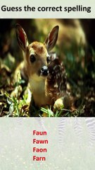 Spelling of the word is correct or not.