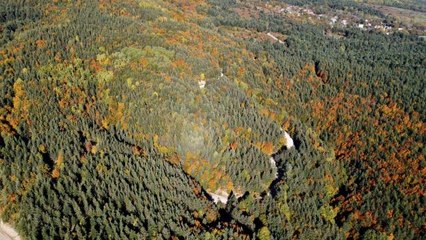 Bolu haberleri: Bolu'daki ormanlar yeşil, sarı ve kahverenginin farklı tonlarına büründü
