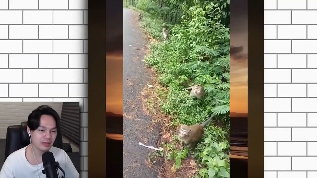 TREND SAMAN BREMBO PESTA YANG BUKAN SEMBARANG PESTA