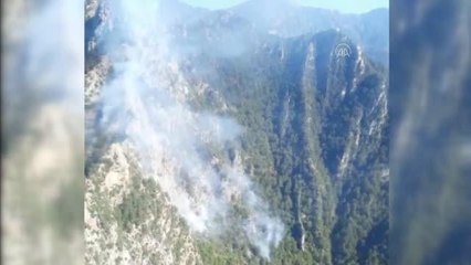 Son dakika haberi: Düziçi'nde çıkan orman yangınına müdahale ediliyor