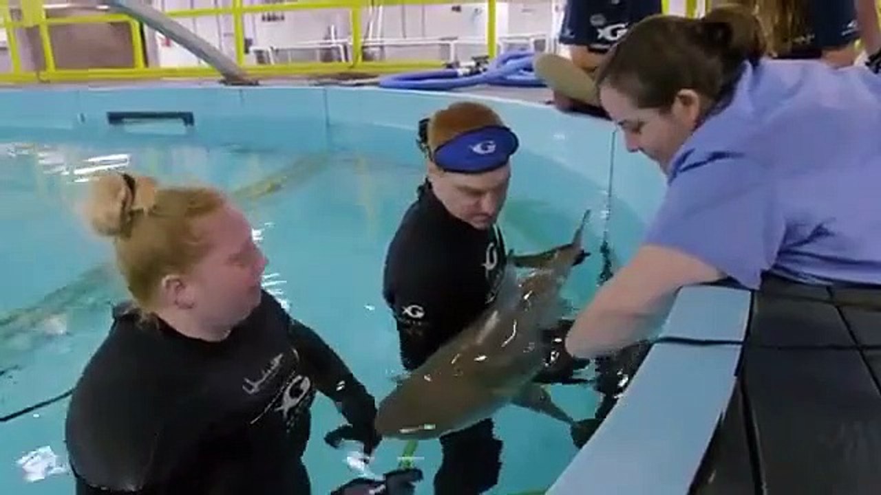 The Aquarium - Se1 - Ep03 HD Watch HD Deutsch