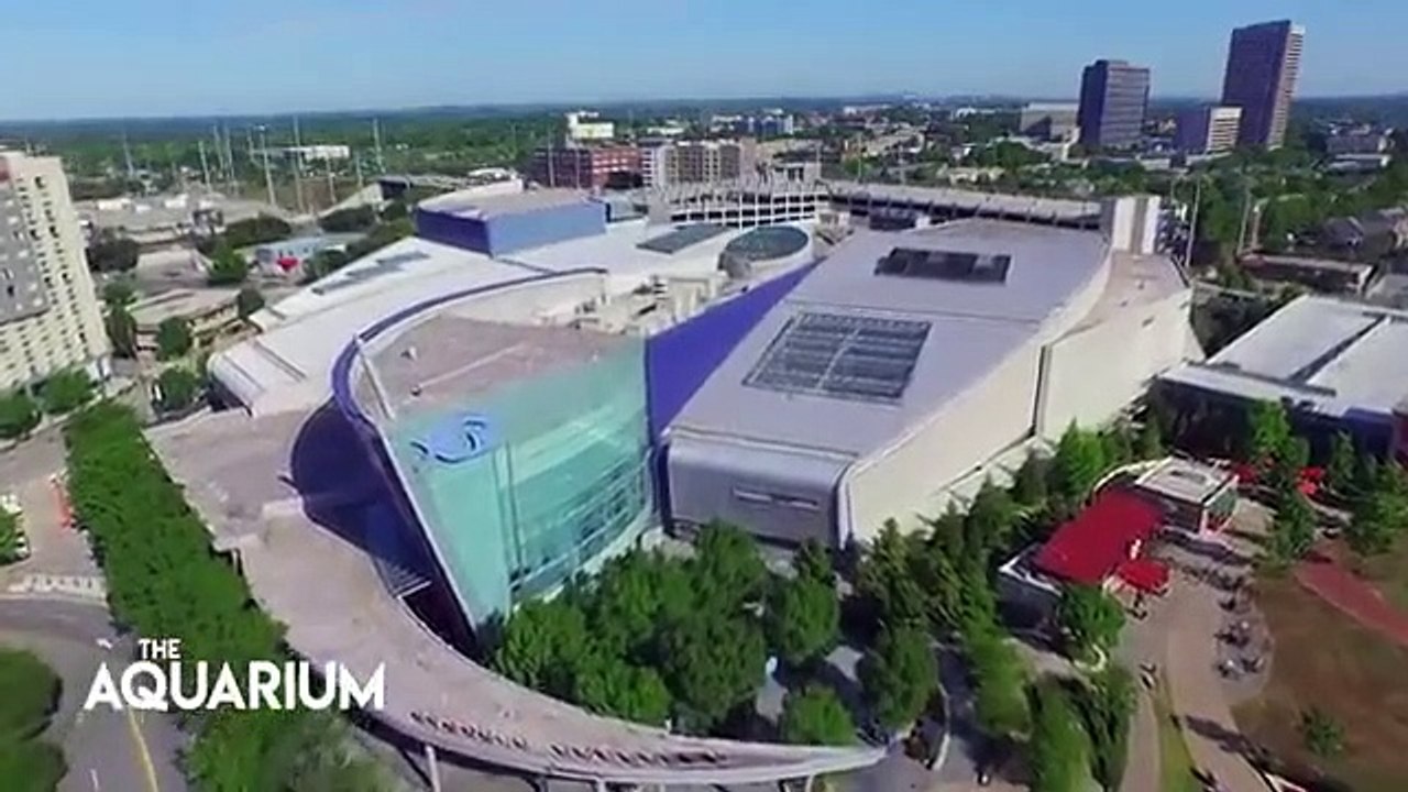 The Aquarium - Se1 - Ep05 HD Watch HD Deutsch