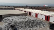 TARİŞ'e rağbet arttı depolar 10 milyon 200 bin kilo pamukla doldu
