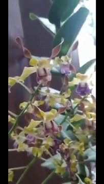 Smart ideas 2023 for growing flowers and plants Garden House