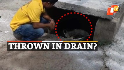 Body Of Newborn Girl Recovered From Drain In Odisha Hospital