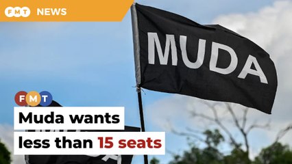 Download Video: Muda asks for fewer than 15 seats in GE15