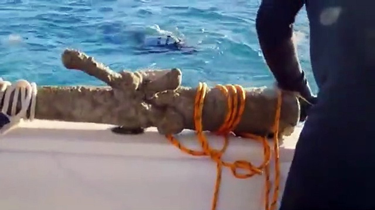 Cooper's Treasure - Se2 - Ep02 HD Watch HD Deutsch