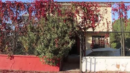 Manisa gündem haberi... Turgutlu'daki spor okulundan idman malzemeleri çalındı