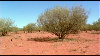 First Australians - Se1 - Ep04 - No Other Law HD Watch HD Deutsch