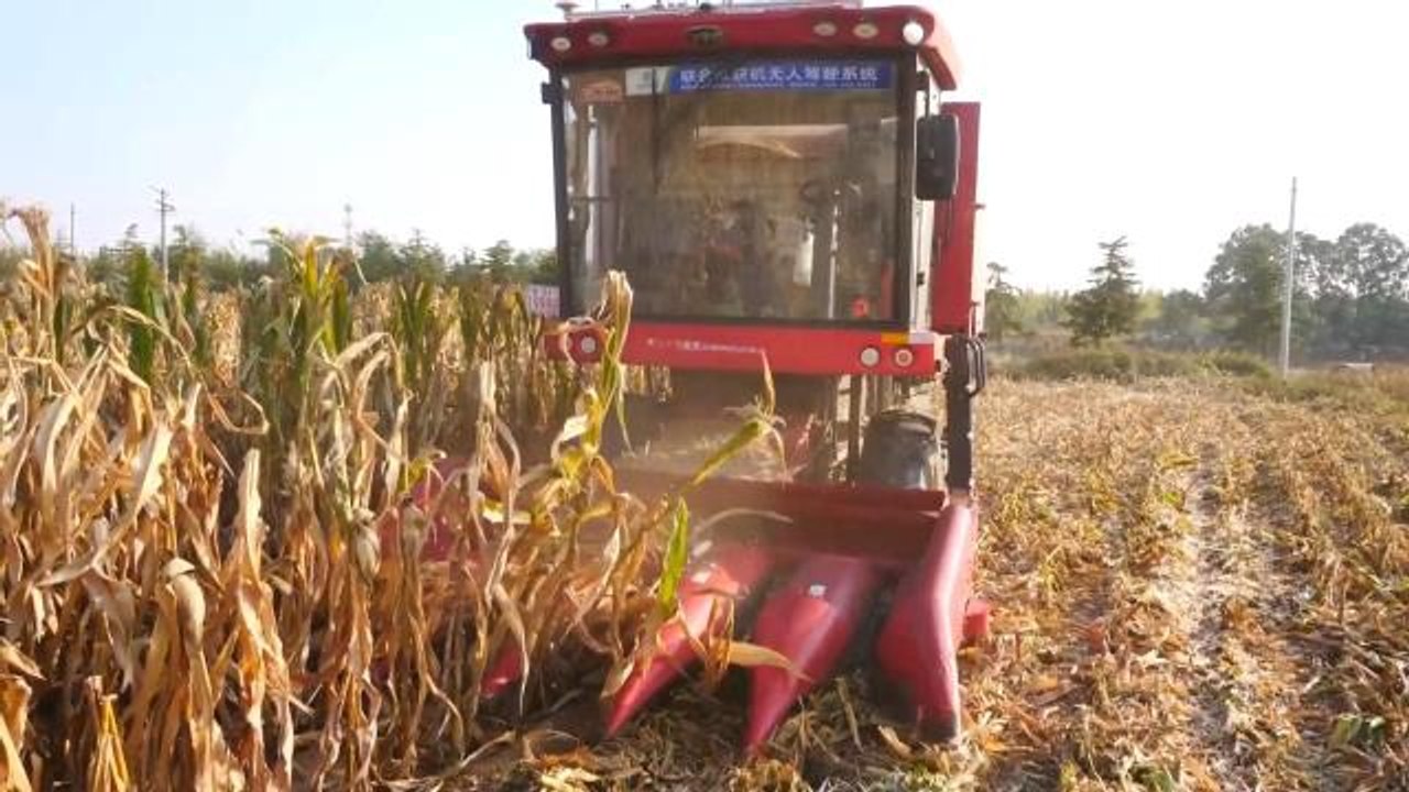 Çin'de Modern Tarım Makineleri Hasat Hızı ve Verimini İyileştiriyor