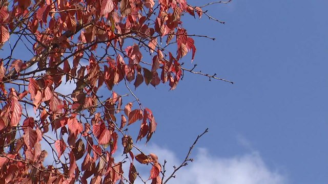 가을옷 입은 나들이 명소... 짧은 계절 흠뻑 즐겨요 / YTN