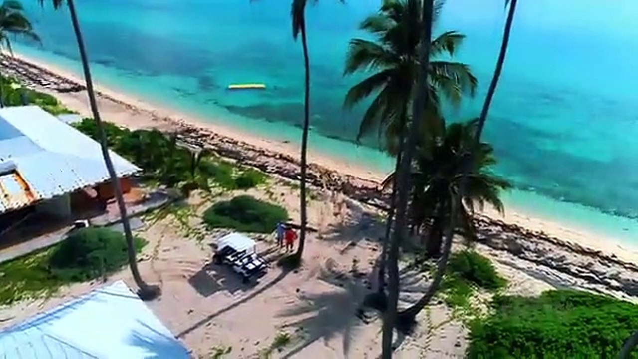 Island Of Bryan - Se1 - Ep01 - Welcome to Bryland HD Watch HD Deutsch