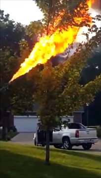 Voila comment on s'occupe d'un essaim de frelons... Lance-flamme