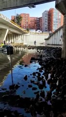 ¡Increíble! La monumental inundación en el deprimido de la Calle 94 en Bogotá