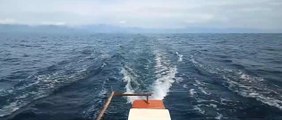 First Upload My fishing video - Mancing Di laut