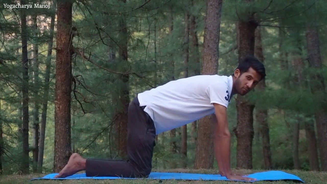 5 मिनट में पीठ दर्द दूर करें // Yoga for lower back pain // Backpain yoga by Yogacharya Manoj