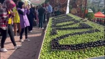 Hatay kültür sanat haberleri: Hatay'da zeytin ve zeytinyağı festivali
