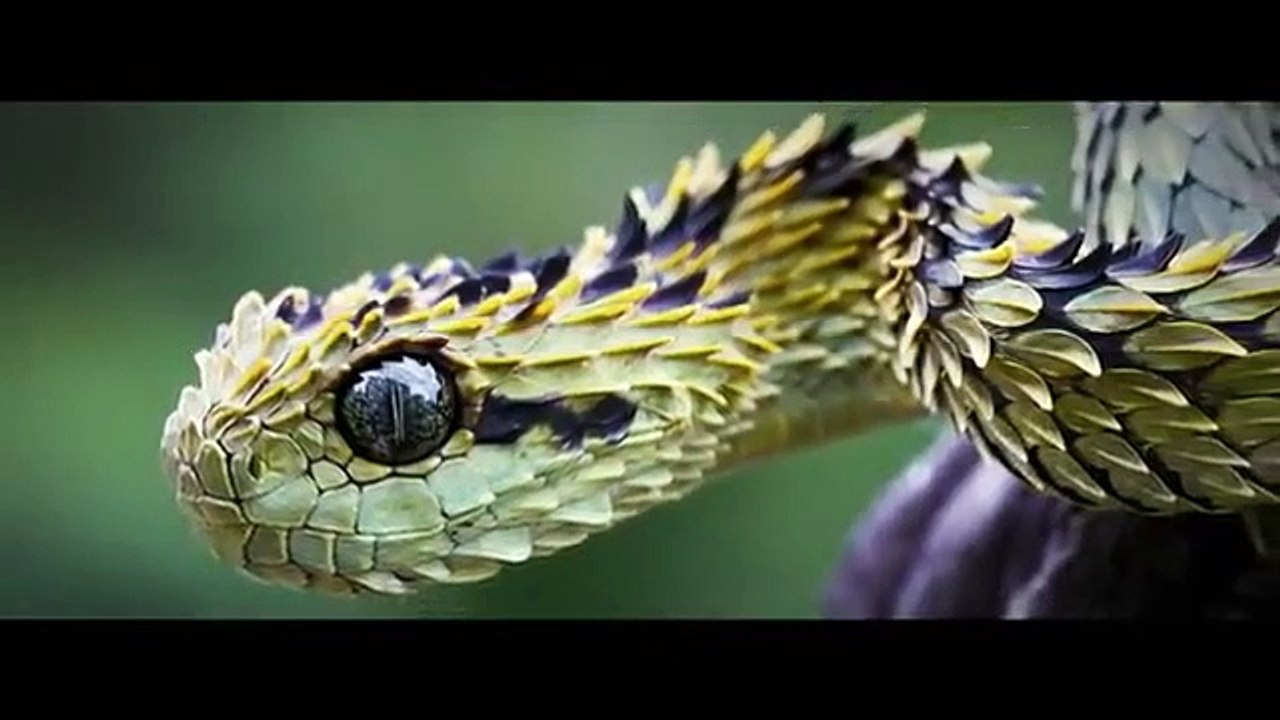 Mummies Unwrapped - Se1 - Ep01 HD Watch HD Deutsch