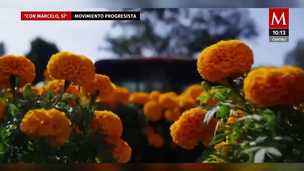 "Con Marcelo sí"; Movimiento Progresista conforma comités en apoyo a Ebrard