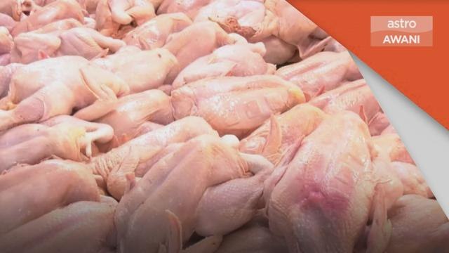 Barang Kawalan | Ada peniaga sorok barang untuk PRU15 - Annuar