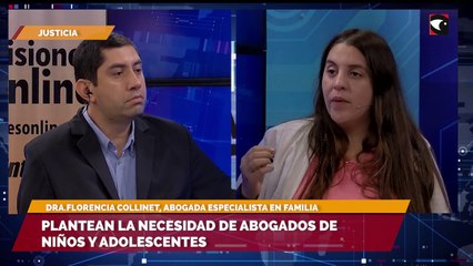 Plantean la necesidad de abogados de niños y adolescentes