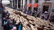 Des moutons par centaines dans les rues de Madrid